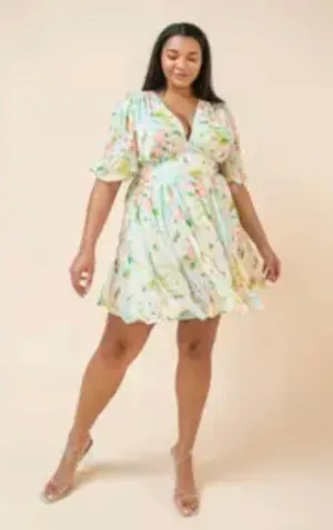 Curvy Paint Me A Picture Dress
