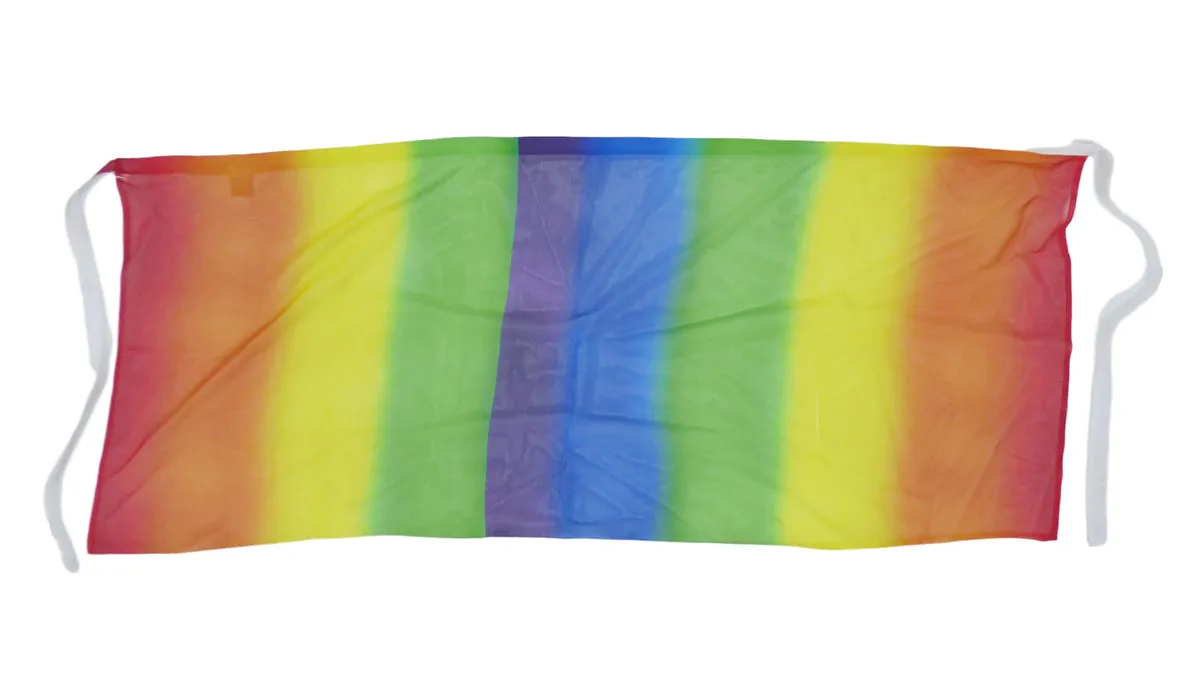 Rainbow Sheer Mini Sarong Wrap