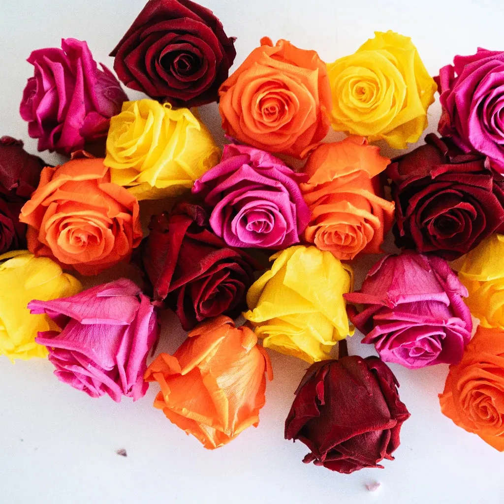 Vibrant Proposal Preserved Roses