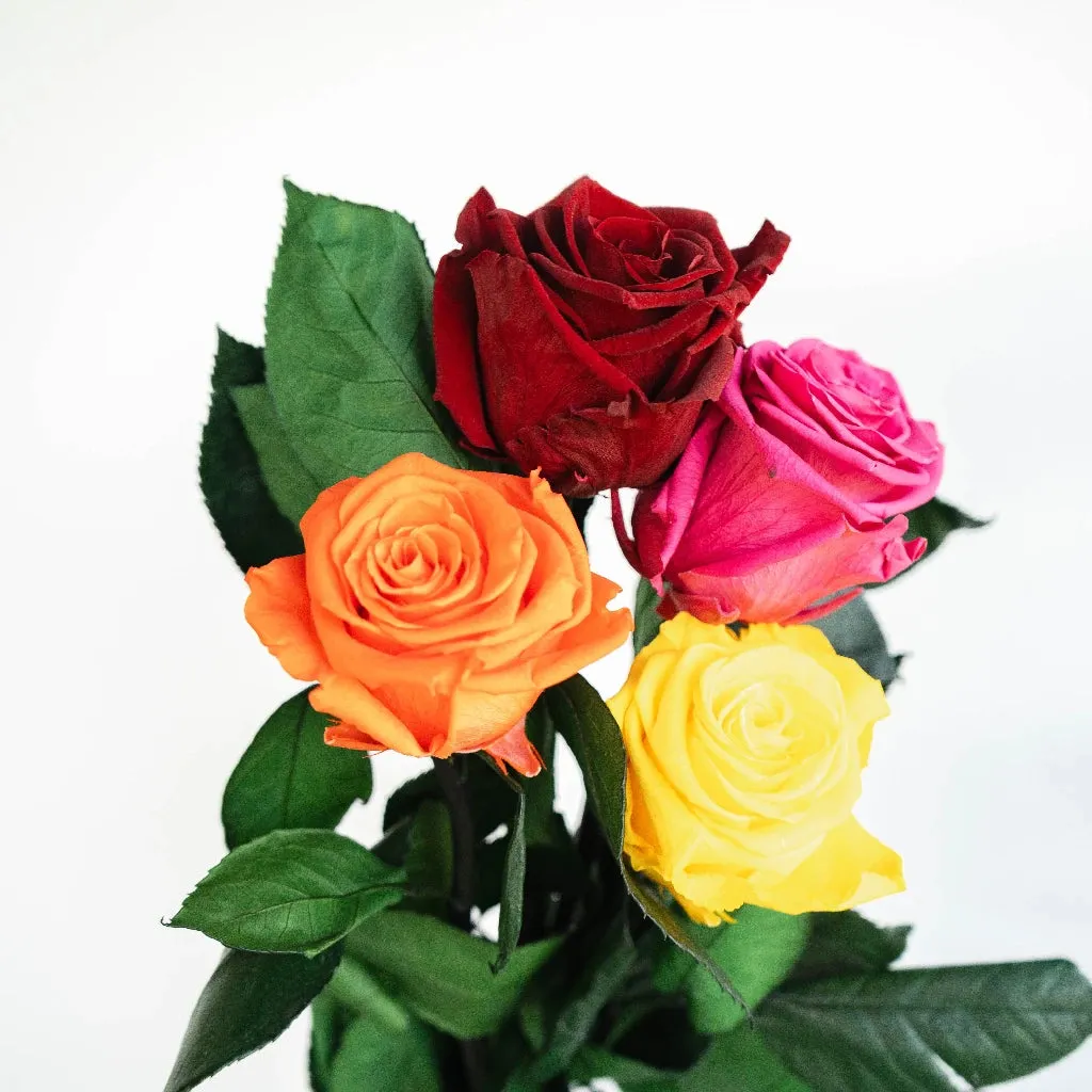Vibrant Proposal Preserved Roses